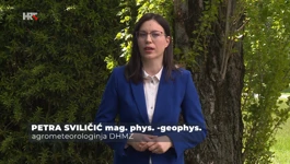 Petra Sviličić