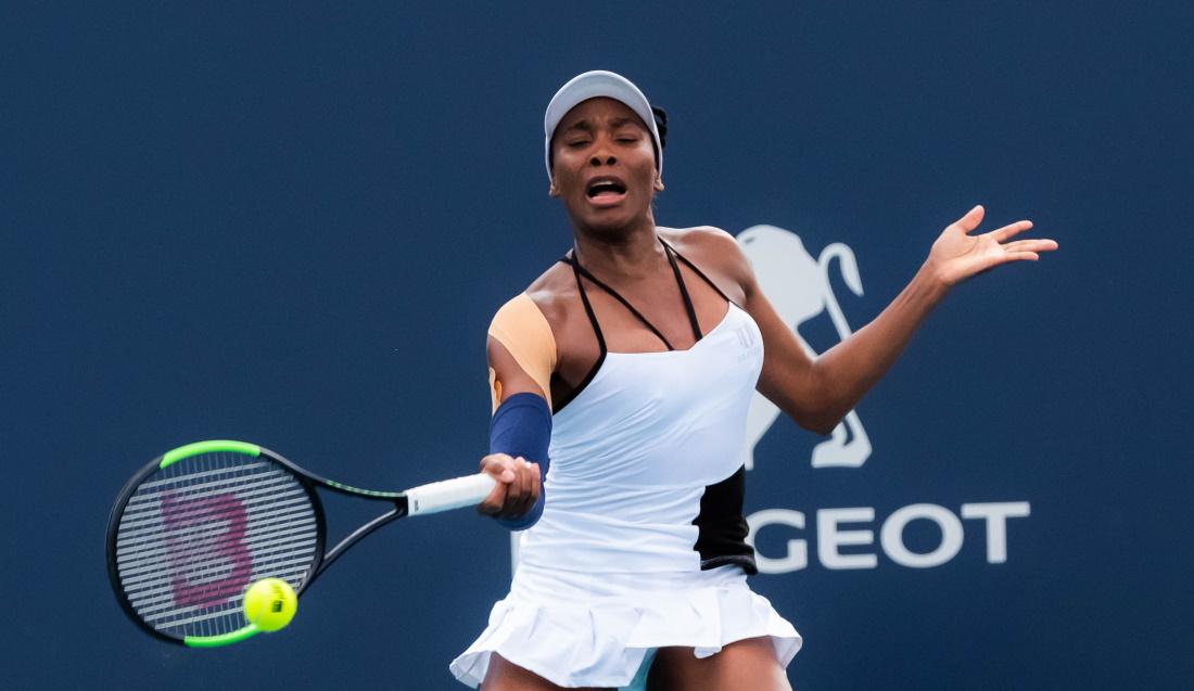 williams venus 20250724101031