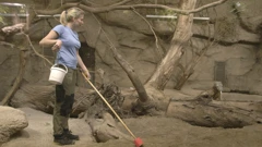 Subota, 7. ožujka na Prvom , Foto: Divlja ZOOna/dokumentarna serija 