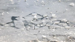 Jarun, Foto: Marko Prpic/Pixsell