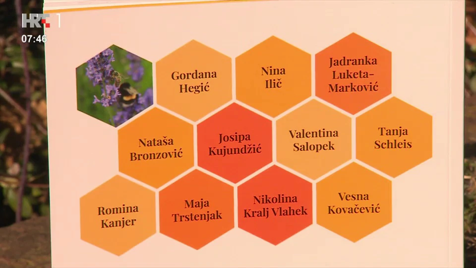 "Moje pčele, moji snovi"