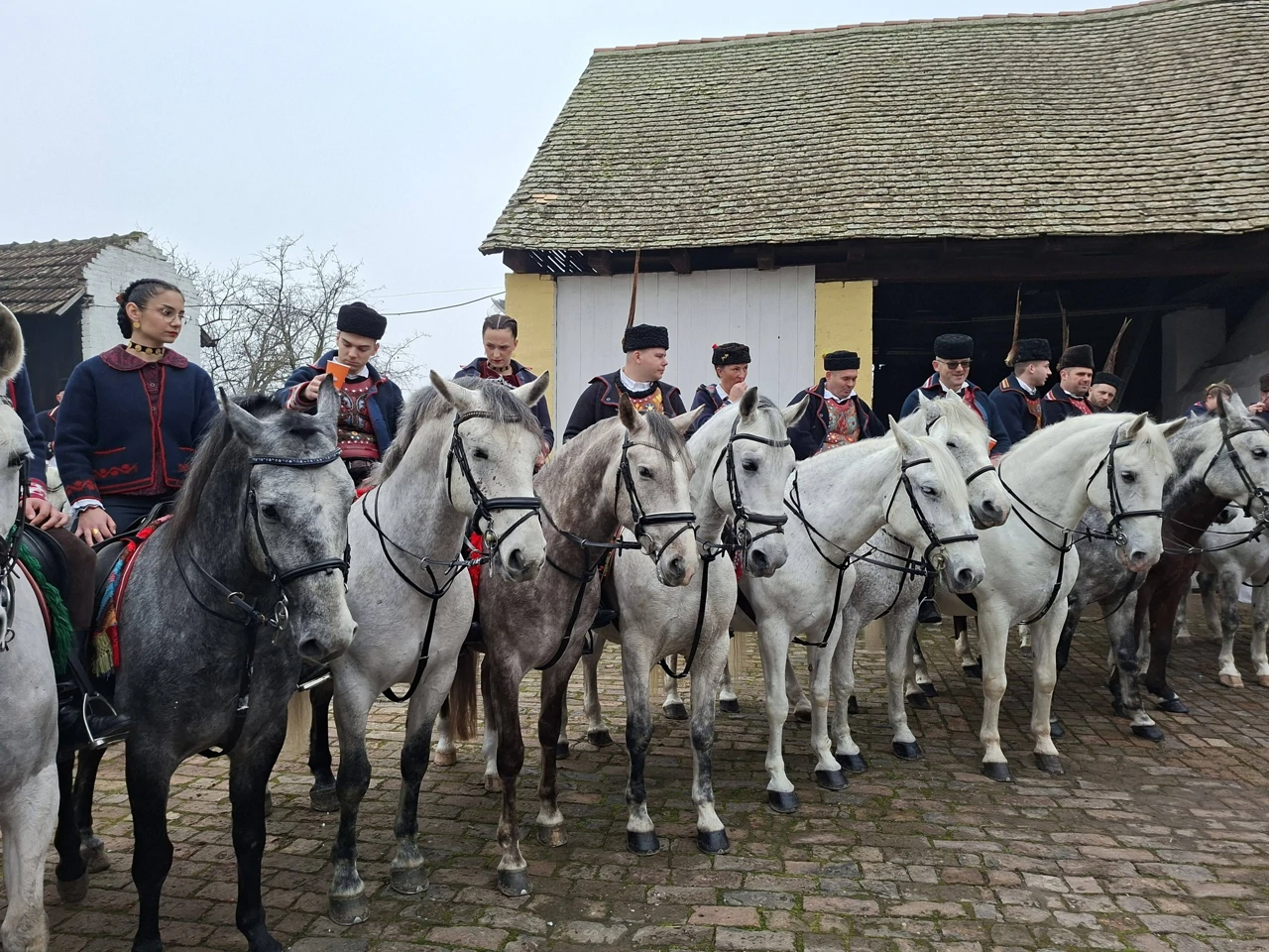 20. pokladno jahanje u Tenji, Foto: M.Milas/Radio Osijek