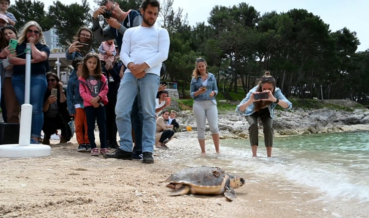 Oporavilište za kornjače
