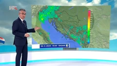 Zoran Vakula