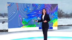 Tomislava Hojsak