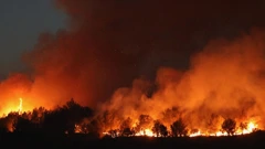 Požar se proširio na brdo pored Zatona