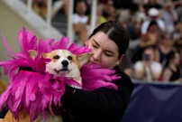 Tradicionalna utrka korgija u Litvi, Foto: Ints Kalnins/REUTERS