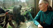 Jane Goodall