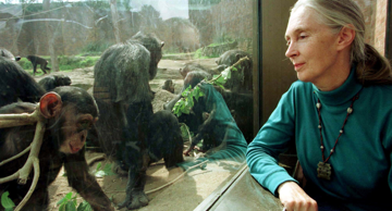 Jane Goodall