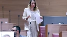 Saborska zastupnica Marija Selak Raspudić