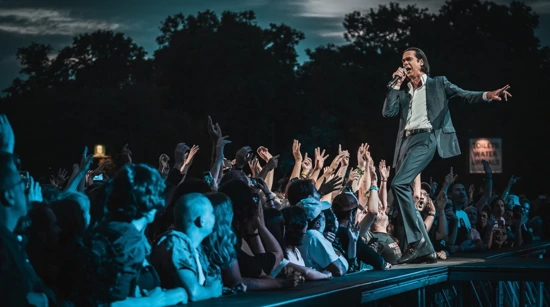 Nick Cave