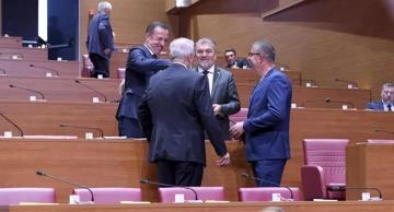 Zastupnici u Saboru