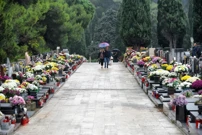 Pula, Foto:  Sasa Miljevic /Pixsell