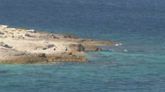 Rt Kamenjak, Foto: Senka Mošnja/HRT