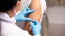 Kreće cijepljenje protiv gripe, distribuirano 420 tisuća doza cjepiva