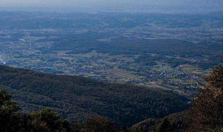 Ukida se uredba o reguliranju zakupa šumskog državnog zemljišta