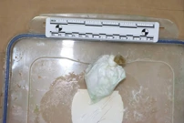 U kući 55-godišnjaka pronađen amfetamin i ilegalno oružje, Foto: PU zagrebačka/HRT