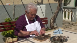 Anka Petešić