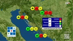 prognoza koncentracije peludi za 8. 6. 2025., Foto: HTV/DHMZ/HRT