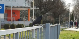 Ugostiteljsko-turistička škola, Foto: Krunoslav Inhof/HRT Radio Osijek