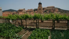 Srijeda, 10. lipnja na Prvom, Foto: Najljepši vrtovi Dubrovnika/dokumentarni film