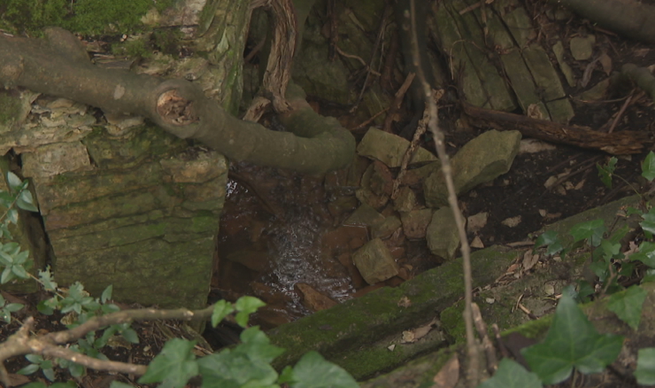 Građevni materijal pokraj špilje u Puli izazvao alarm, uklonjen bez štete