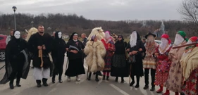 Buše u Dražu i Gajiću, Foto: HRT/Radio Osijek