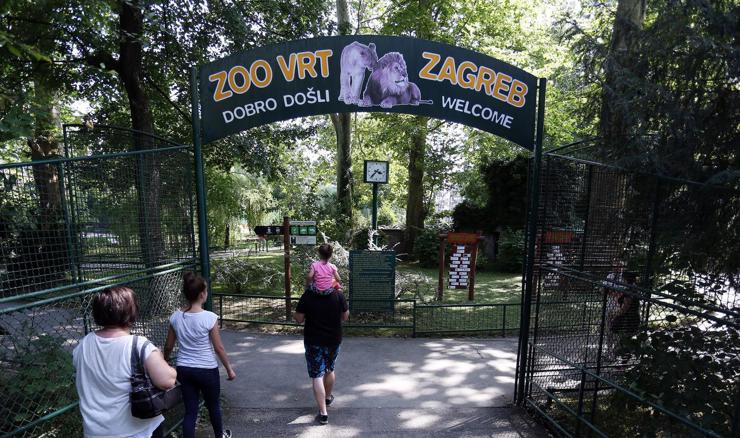 Zagrebački ZOO: Smrt mladunčeta patuljastih vodenkonja nije poveziva s radovima