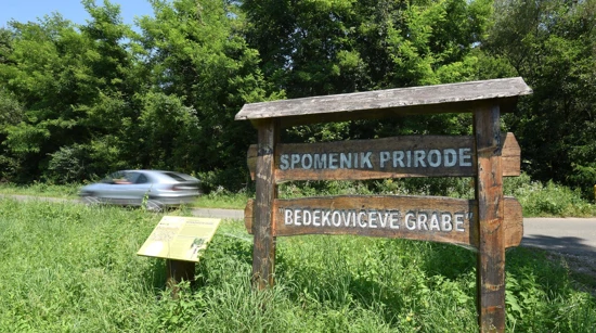 Bedekovićeve grabe