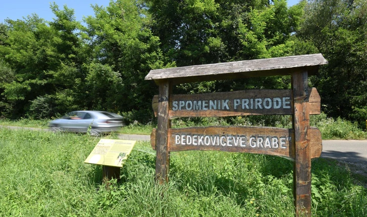 Bedekovićeve grabe