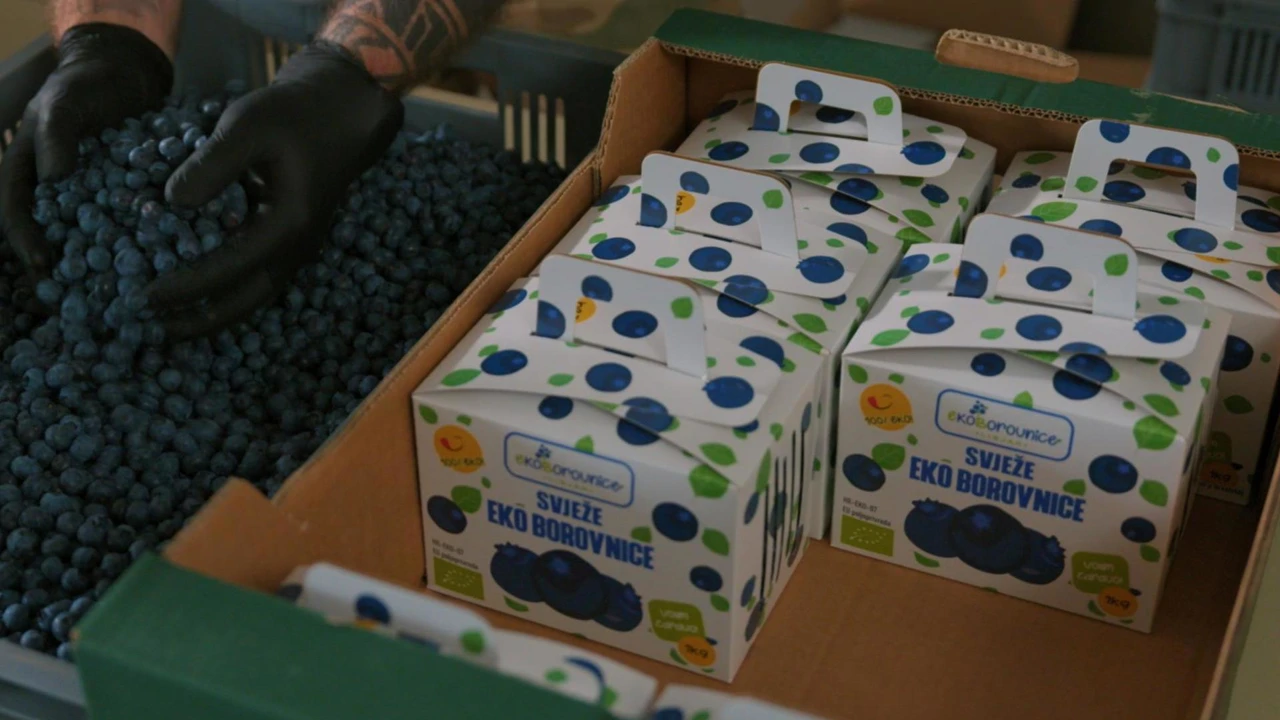 Ponedjeljak, 10. studenoga na Prvom