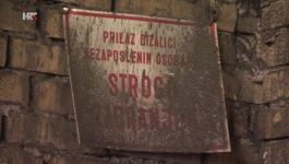 Daruvarski Dalit
