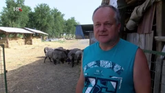 Dražen Čikvar, Foto: HTV/HRT