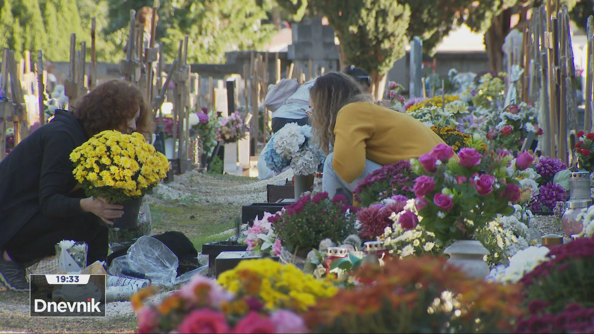 tvdsvisveti3110 frame 795 20241031184621