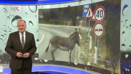 meteoprometna prognoza u Istragama prometnih nesreća