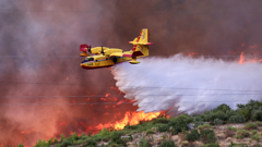 Novi požar kod Žrnovnice