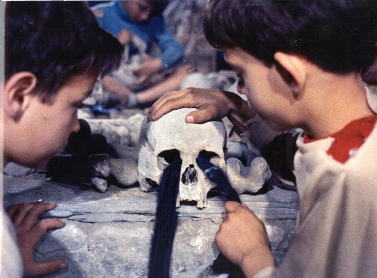 Subota, 28. veljače na Trećem, Foto: Pasji svijet 2/dokumentarni film