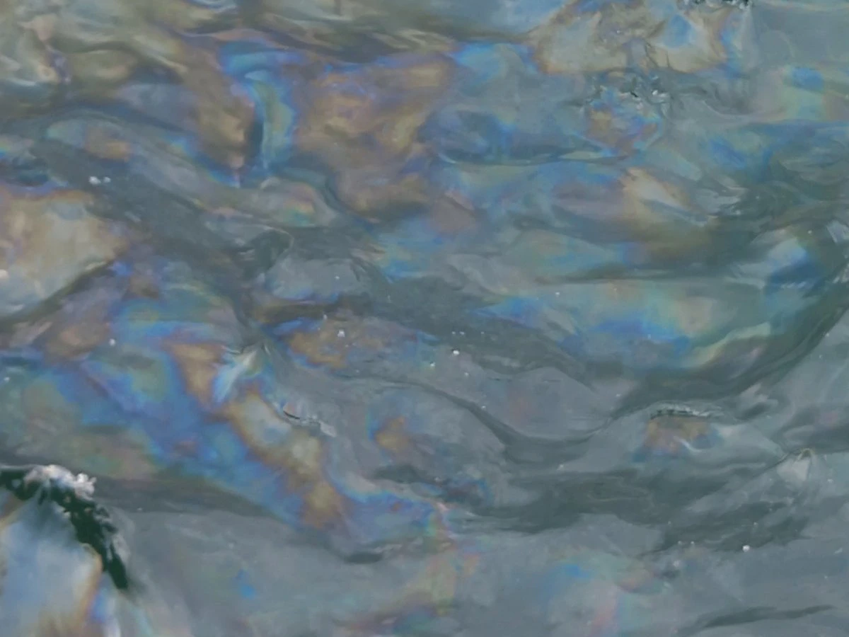 Masni sloj na morskoj površini, Foto: -/Radio Rijeka