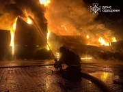 Požar u luci Odesa, Foto: DSNS Odesa/Reuters