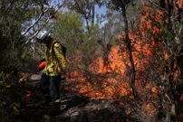Ilustracija - Šumski požar, Australija, Foto: Loren Elliott/ REUTERS
