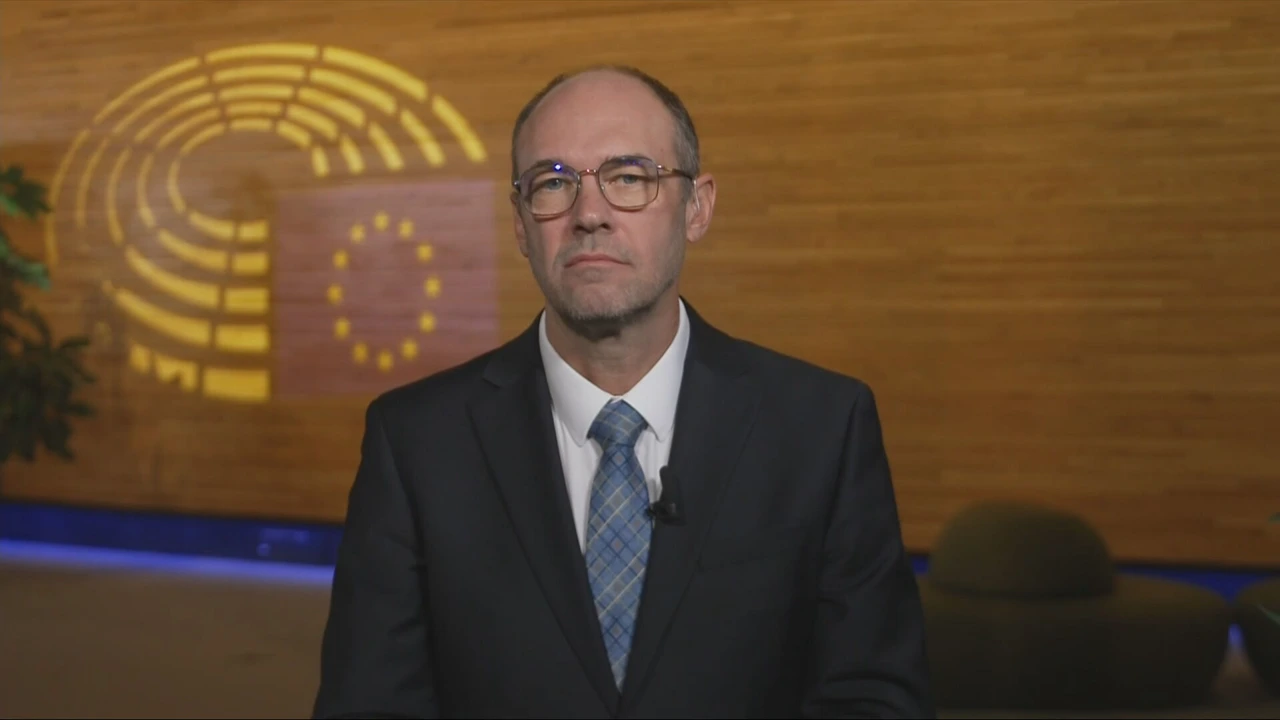 Davor Ivo Stier, zastupnik u Europskom parlamentu