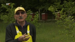 Pčelar Damir Rogulja objašnjava zašto je pčela sve manje, Foto: Puls/HTV/HRT