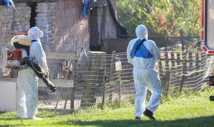 Proširene zone zaštite i nadziranja zbog ASK-a