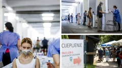 Cijepljenje