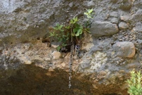 Vepric - das kroatische Lourdes, Foto: Dana Jungbluth/-