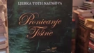 Pronicanje tišine 