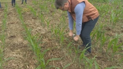 Konzervacijska poljoprivreda