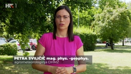 Petra Sviličić