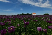 Priroda, Foto: Ankica Molnar/Radio Osijek