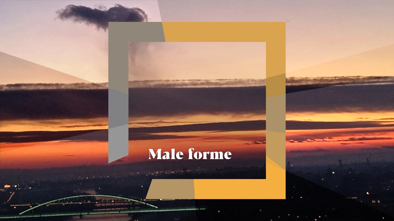 Male forme, Foto: HRT/HRT